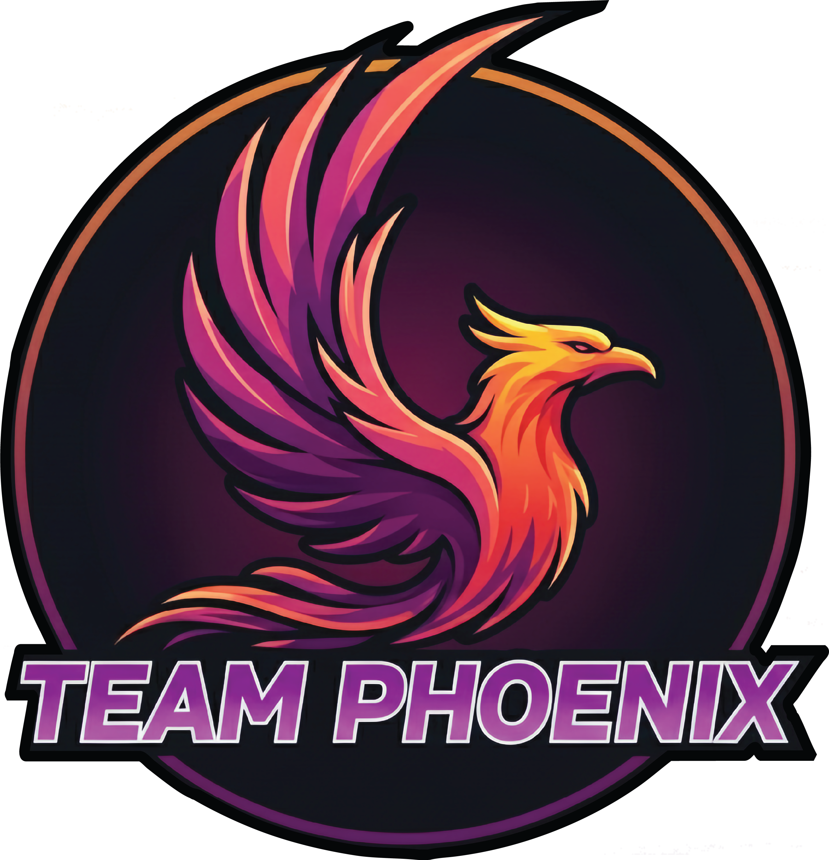 MMS - Team Phoenix