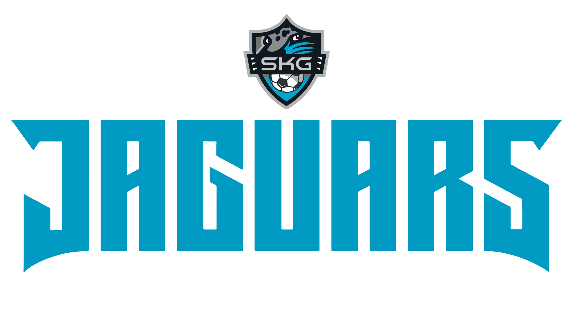 Jags shield shirt on sale