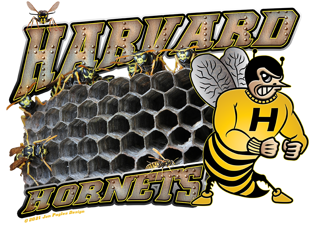 Holloway HARVARD HORNETS ジャケット XL Hornet_Nest.png