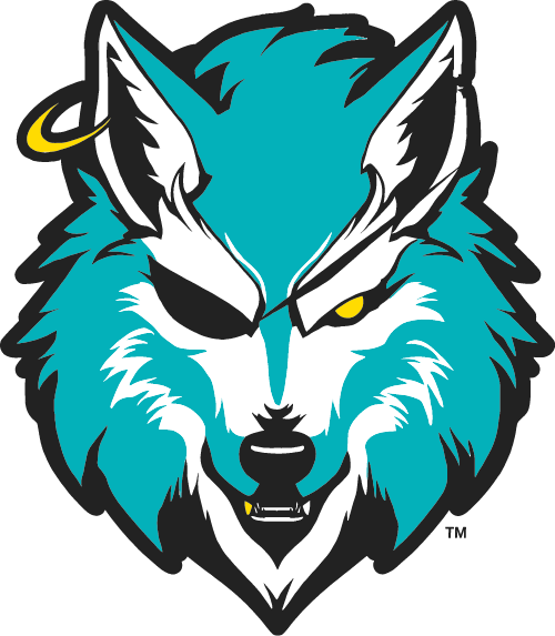 South Carolina Seawolves Football (perpetual 8)