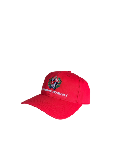 Vanguard_academy