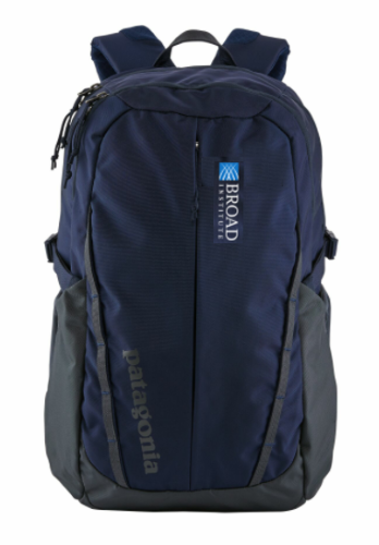 Patagonia Refugio Backpack 28L | Gilman Surge