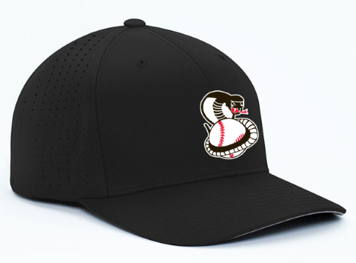 Columbus Cobras Spirit Shop