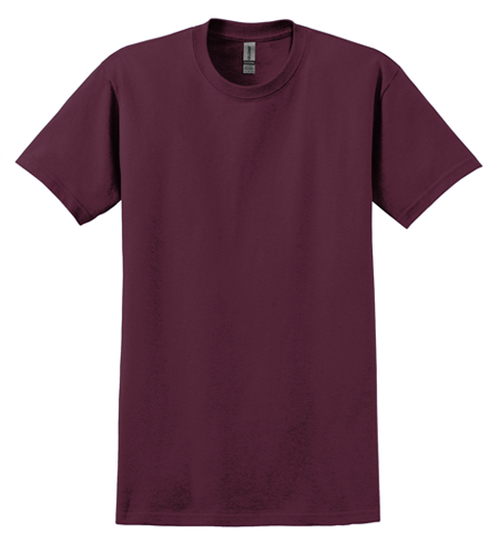 100% Cotton Adult T-Shirt - Gildan Brand | Dexter Print and Embroidery