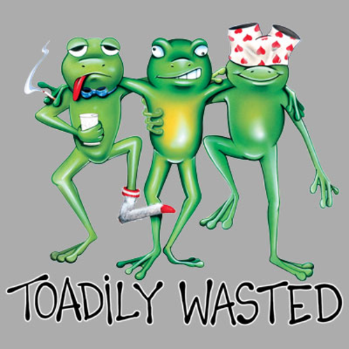 Toadily TOADILY WASTED Not Applicable | TOADILY WASTED