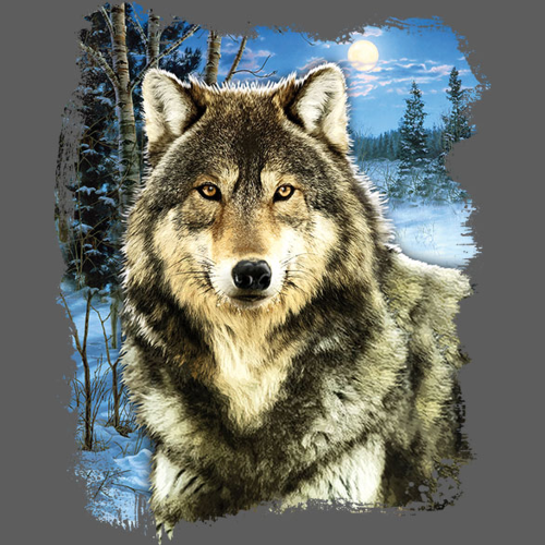WINTER WOLF Not Applicable | Custom and Stock Heat Transfers | Art Brands