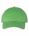 Printed Washed Chino Cap
