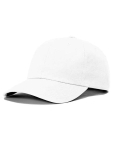 printed Ashland Recycled Dad Cap