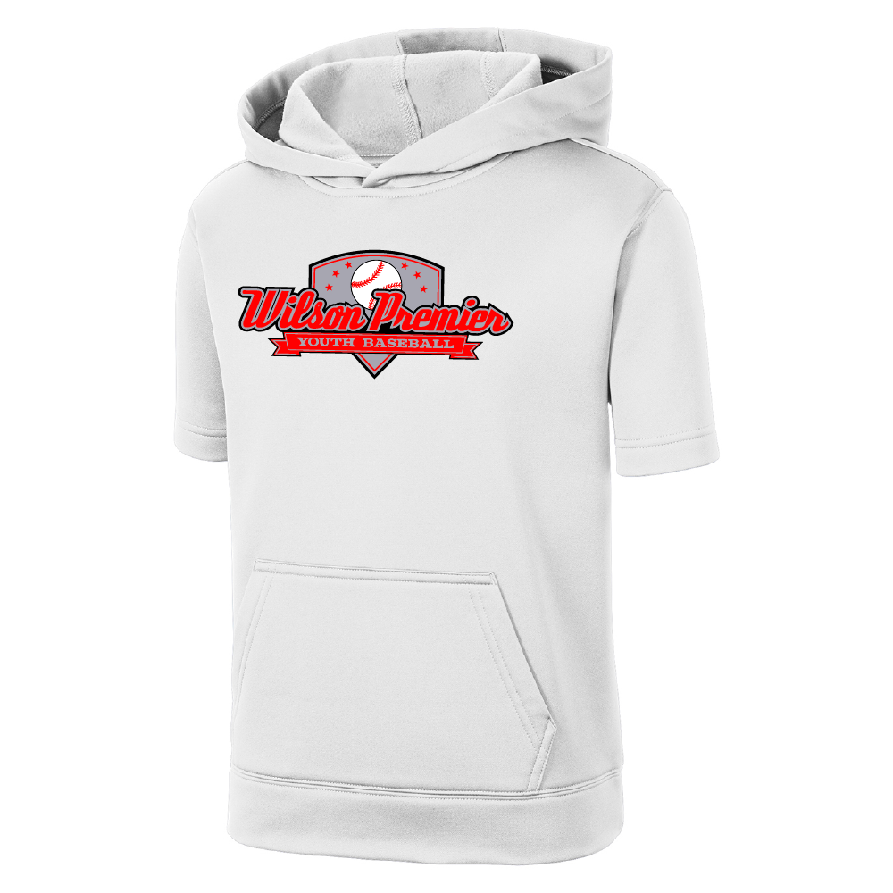 Youth baseball fleece pullover clearance