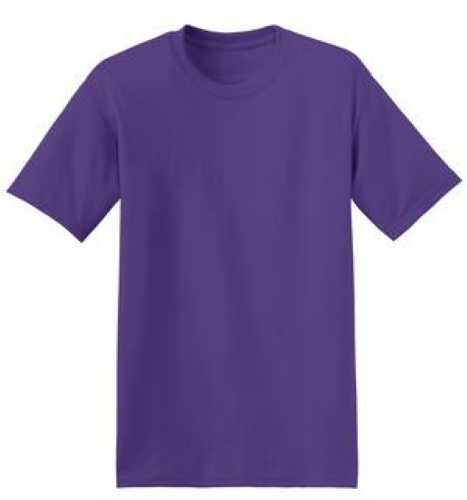 hanes comfortblend ecosmart t shirt