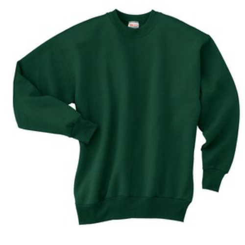 hanes ecosmart crewneck sweatshirt