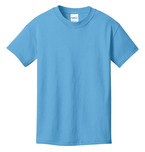 Port Company Youth 100 Cotton T Shirt in Aquatic Blue