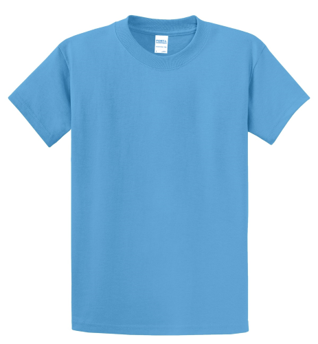Port & Company Essential T-Shirt in Aquatic Blue