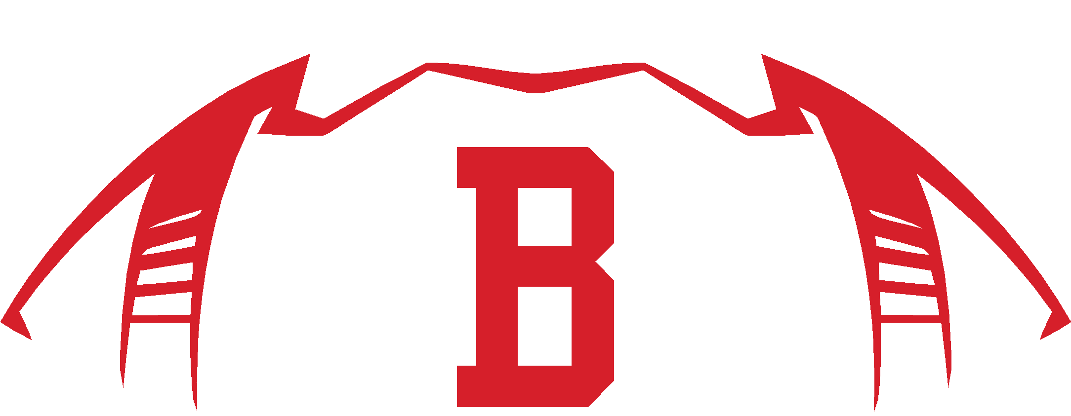 Bedford Football store