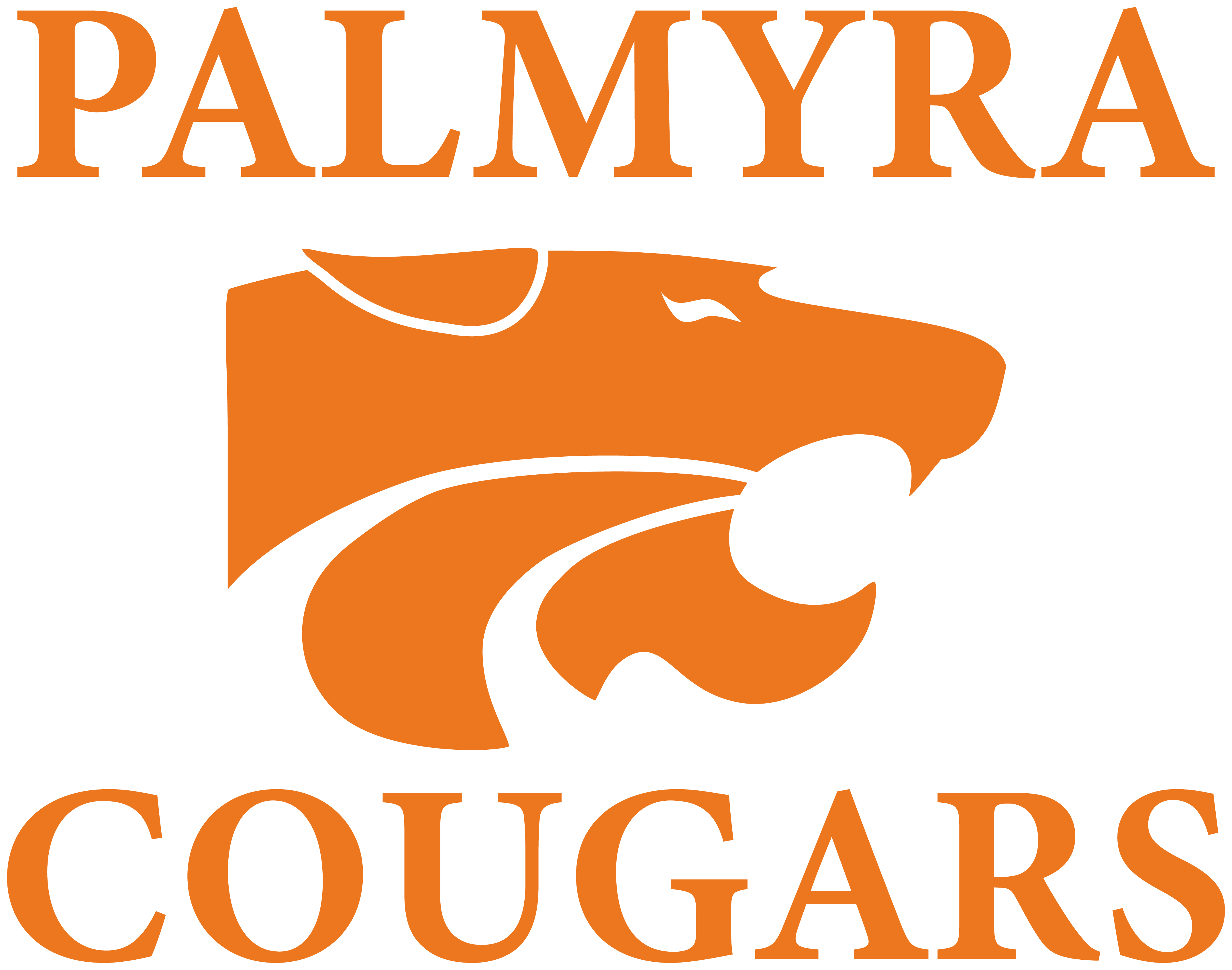 Palmyra High School