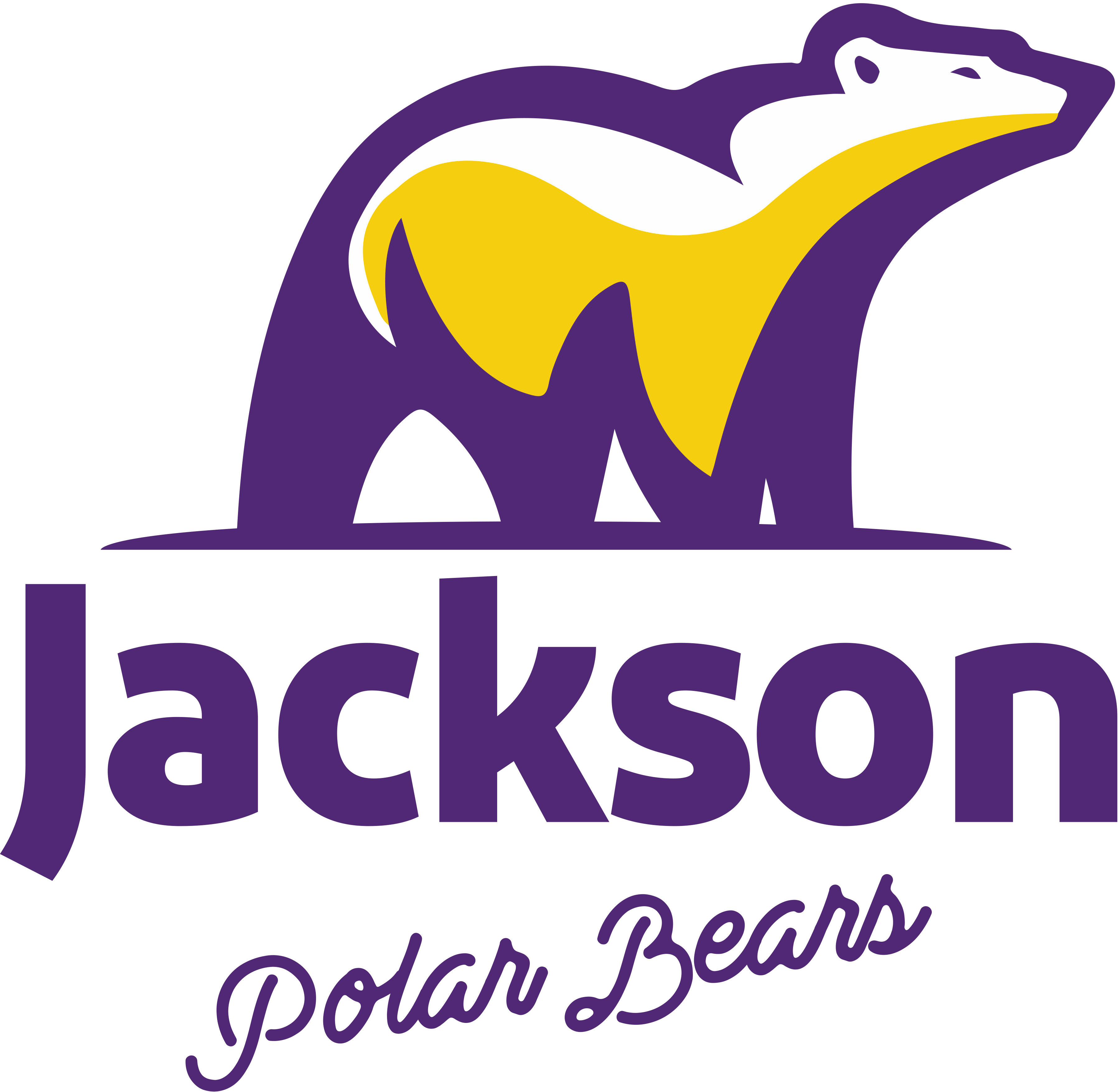 Jackson Polar Bears