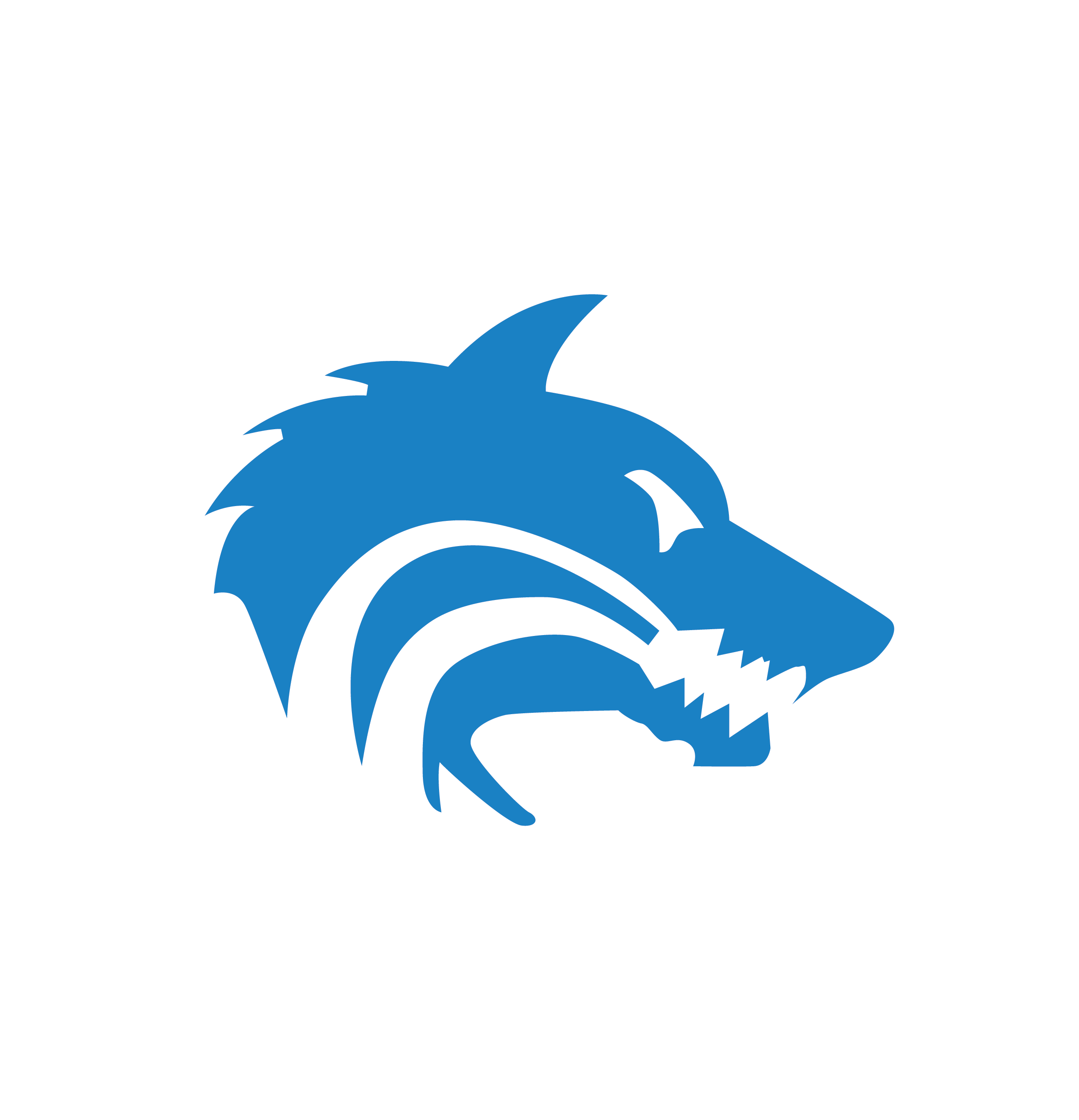 Scholars' Academy Spirit Wear Fundraiser