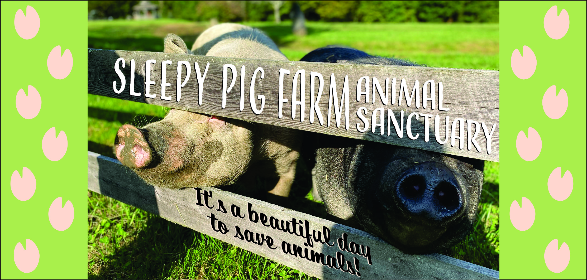 Home | Sleepy Pig Farm Online Store Home | Sleepy Pig Farm Online Store