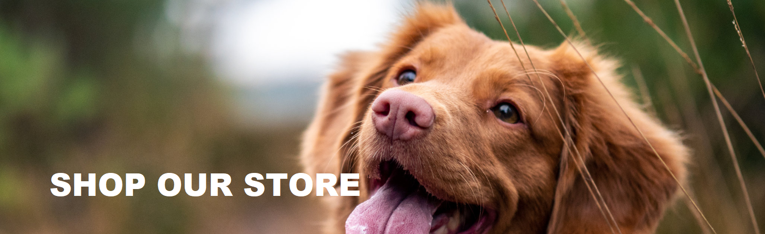 Auburn Valley Humane Society Home
