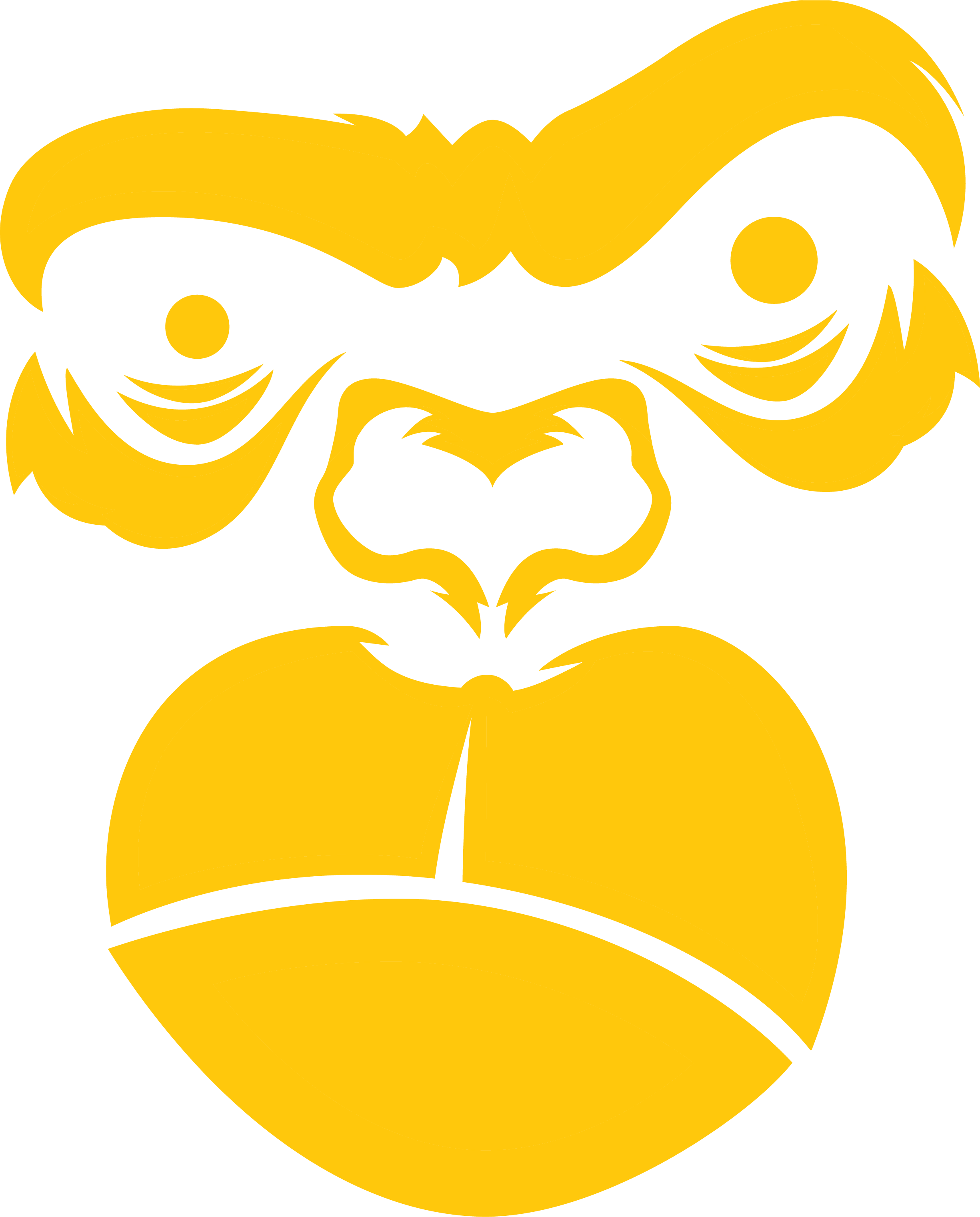 the-gorilla-gear-store