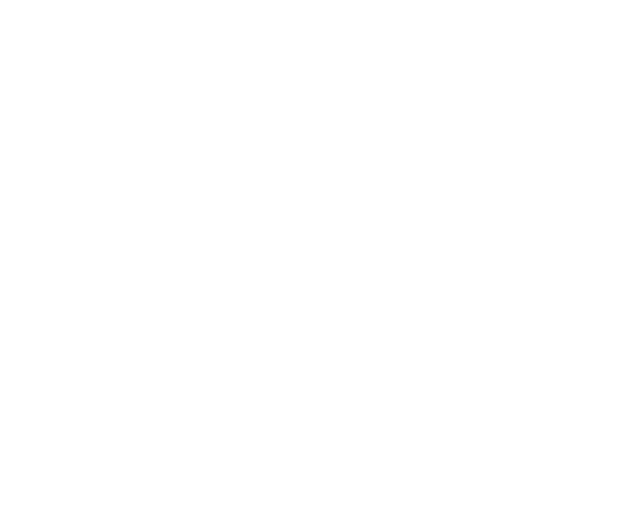 Ammon LIttle League