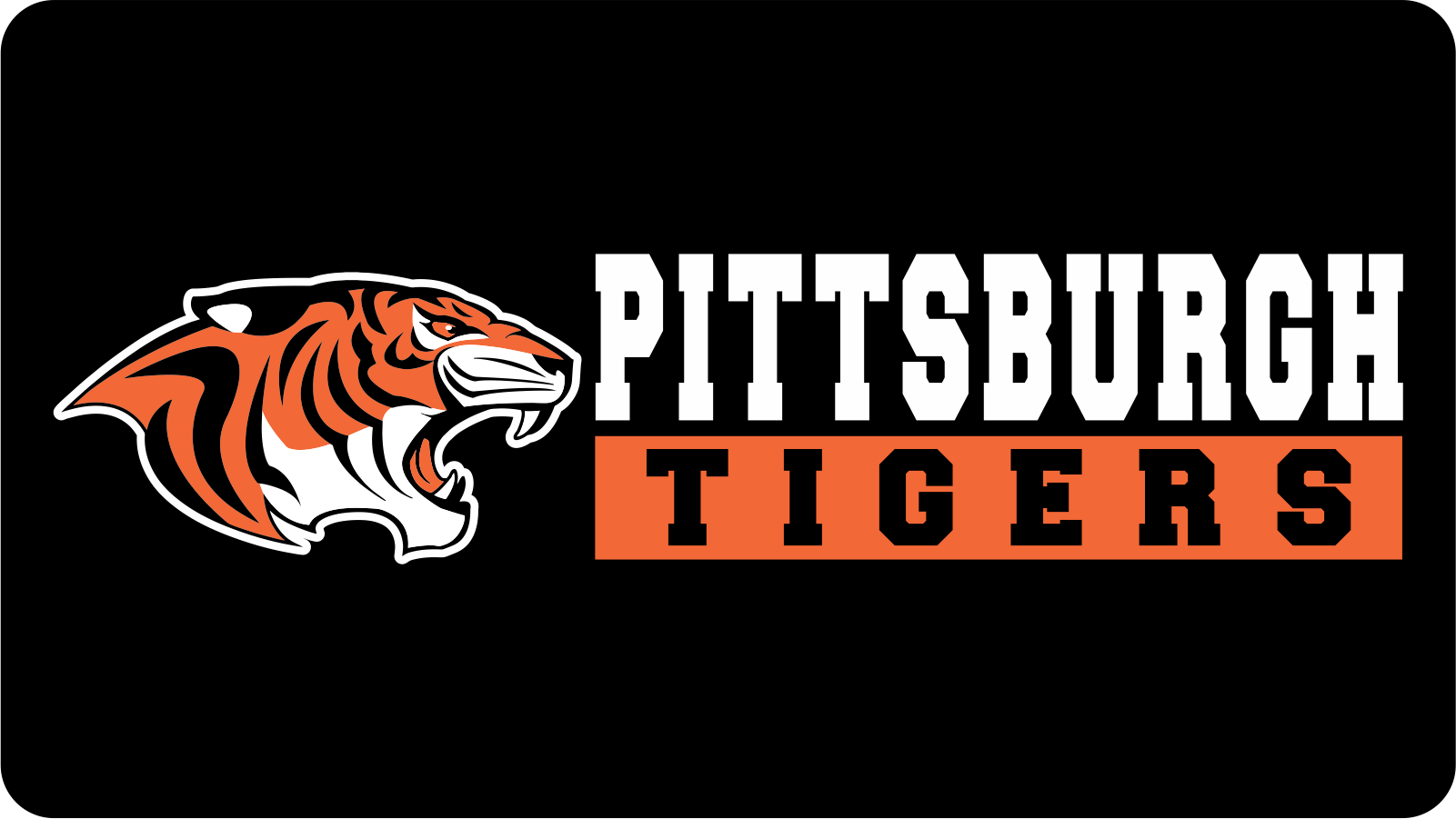 Pittsburgh Tigers Softball