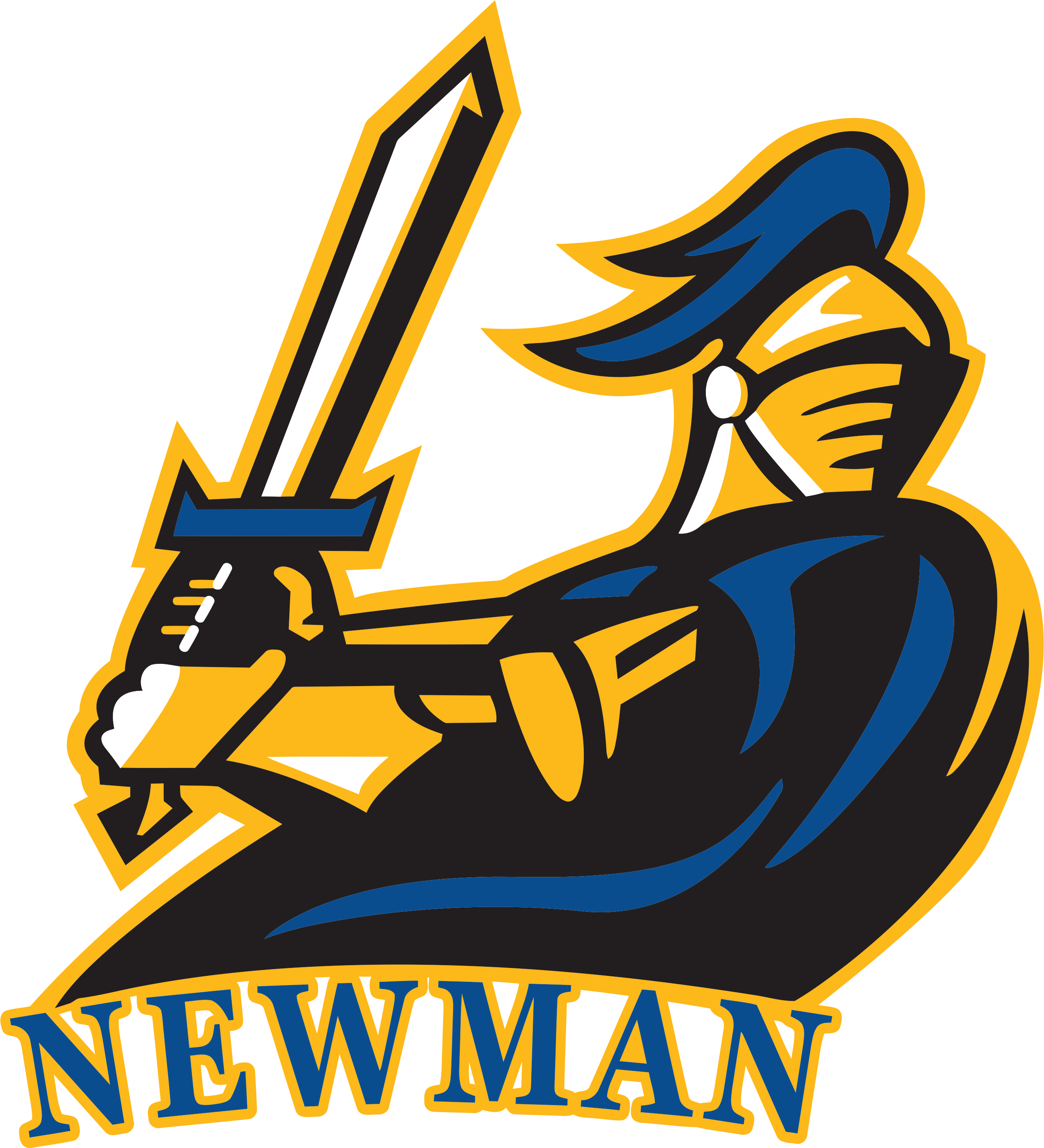Cardinal Newman Lacrosse Cardinal Newman Lacrosse