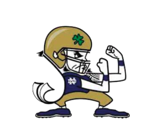 Notre Dame Football June 2024