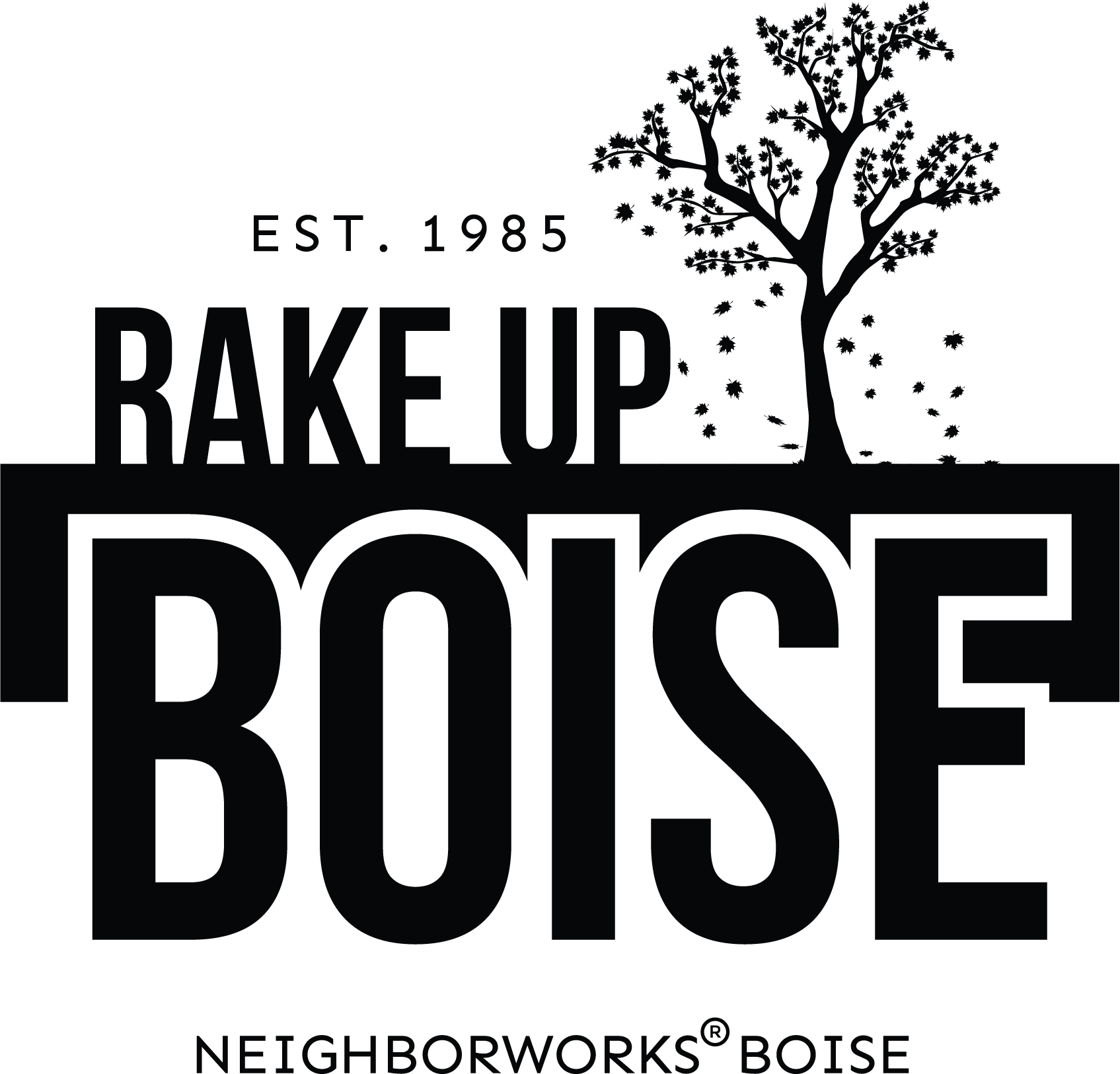 rake-up-boise
