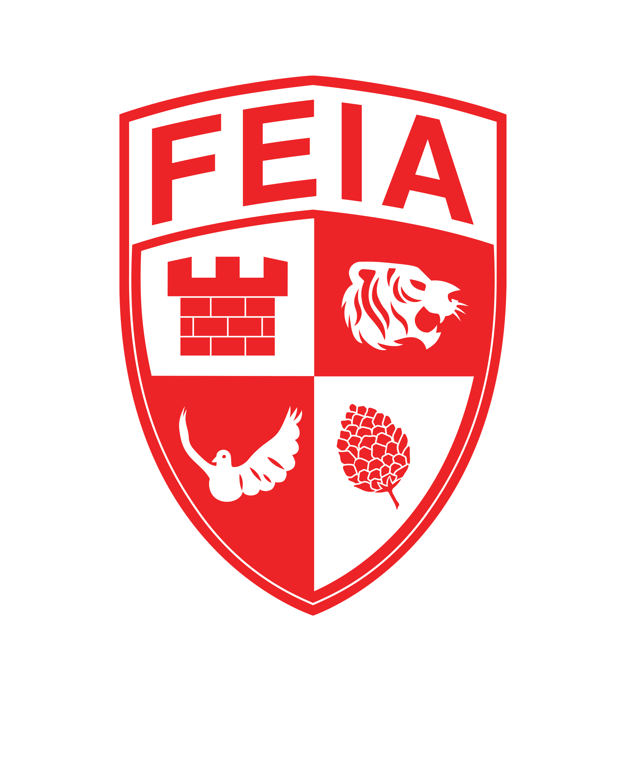 FEIA Academy Online Store!