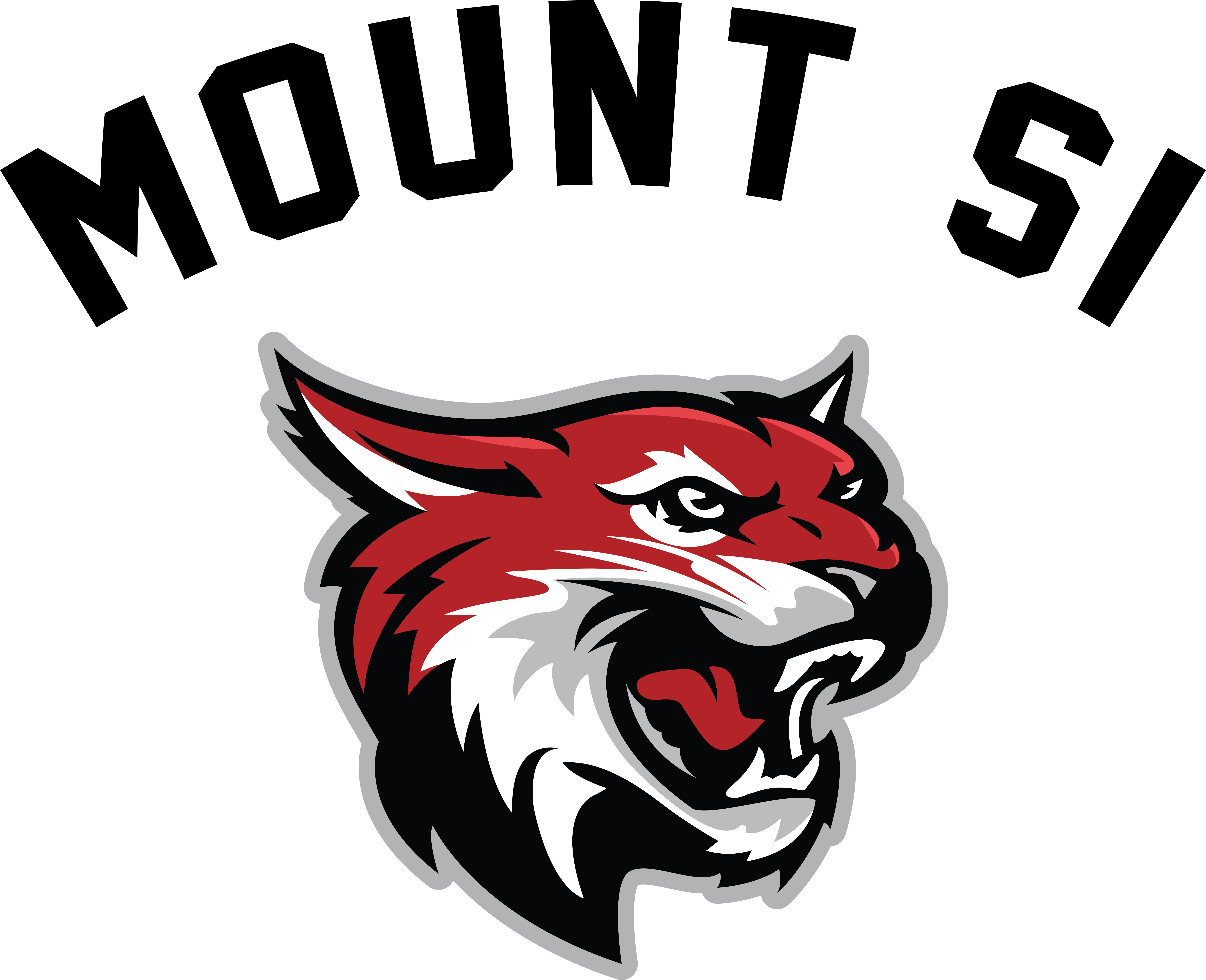 WILDCATS ユニフォーム 番号14ザック · トロイボルトン東高校ワイルドキャッツ赤レトロ