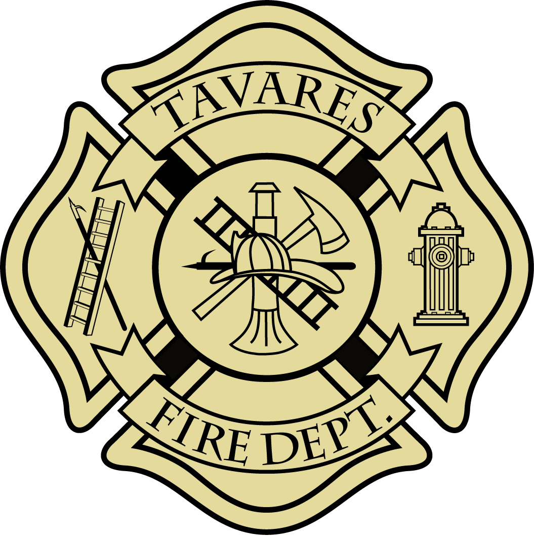 Tavares fd
