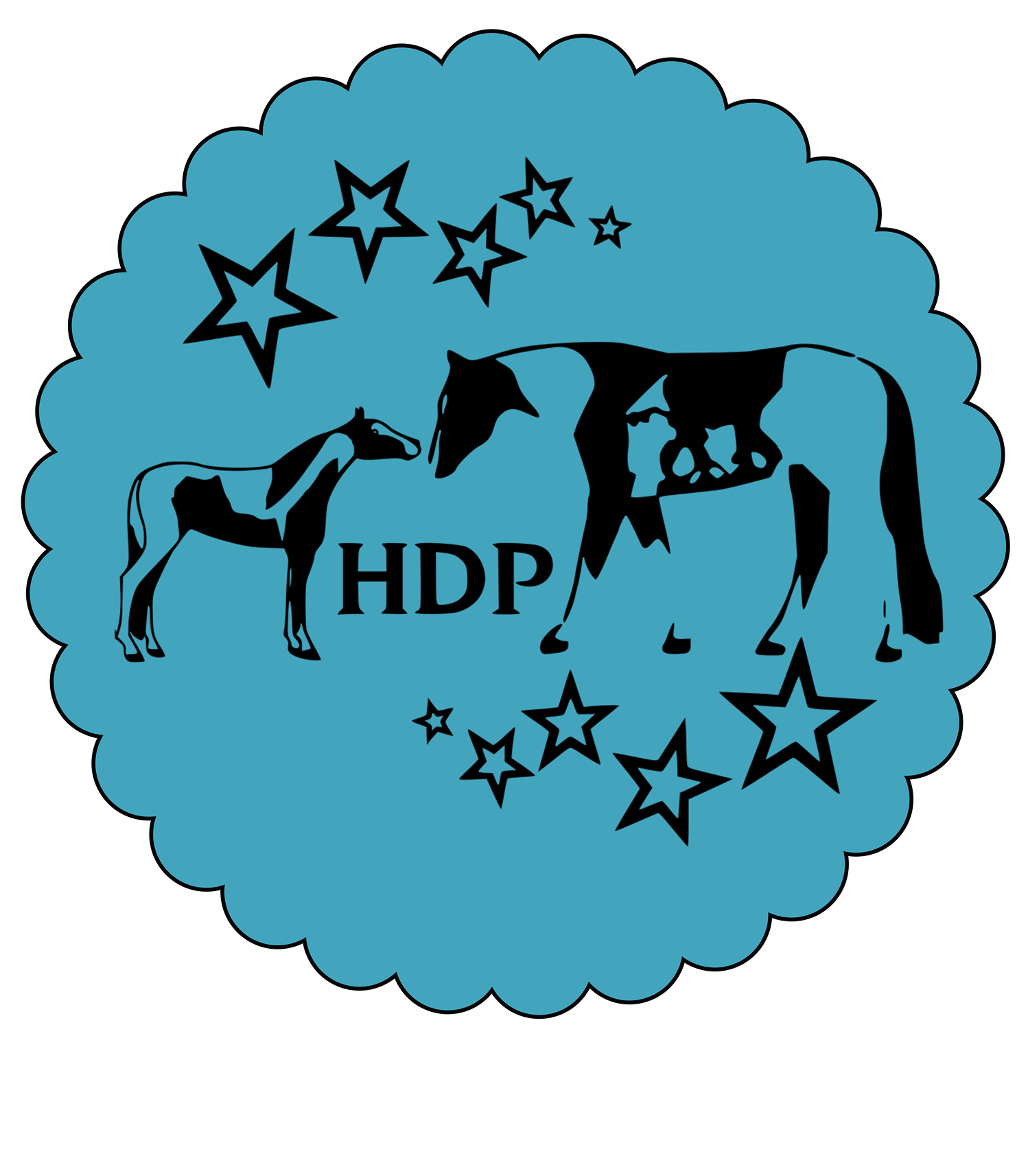 High Desert Pinto Shop