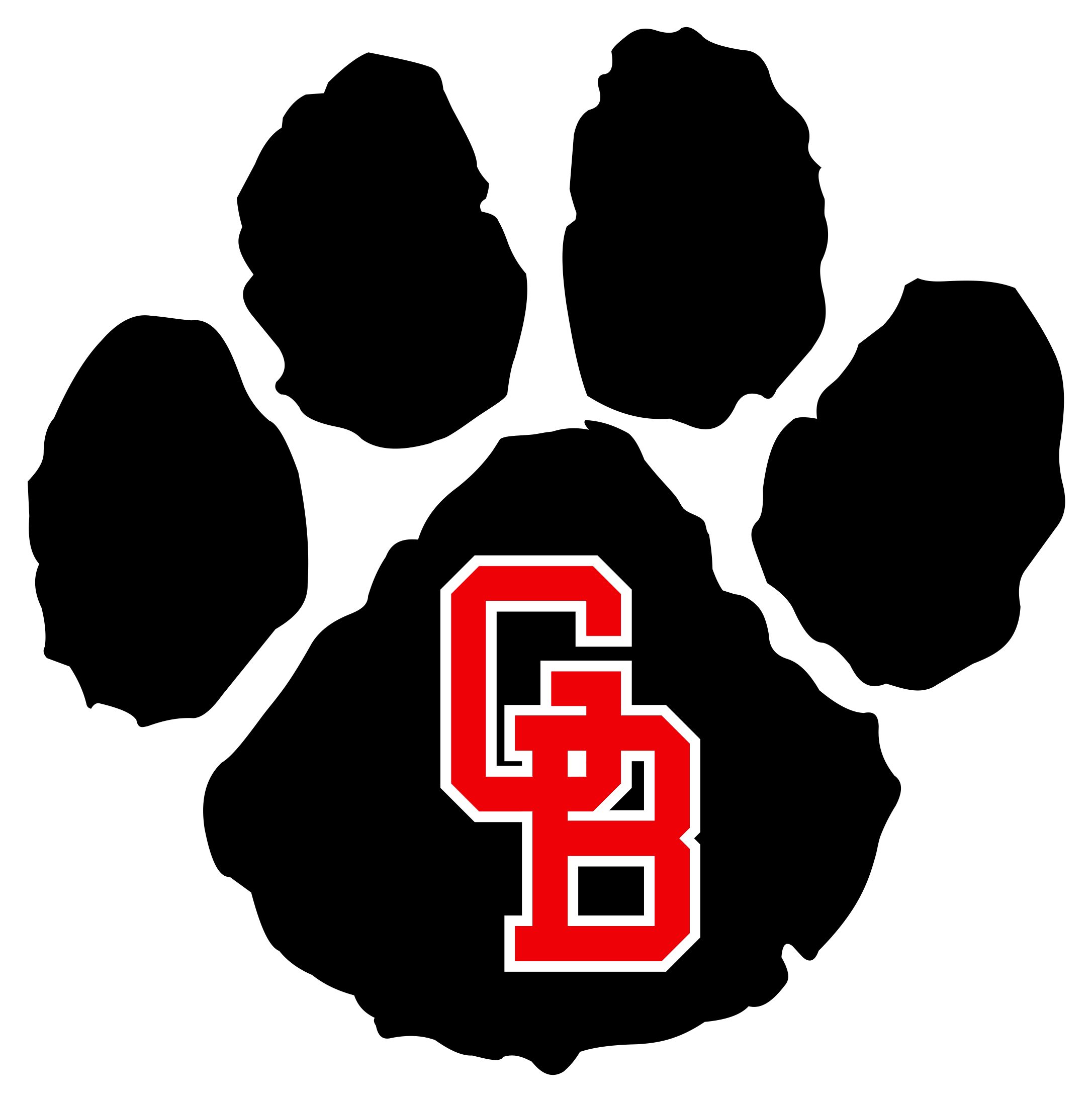 Grand Blanc Youth Football and Cheer