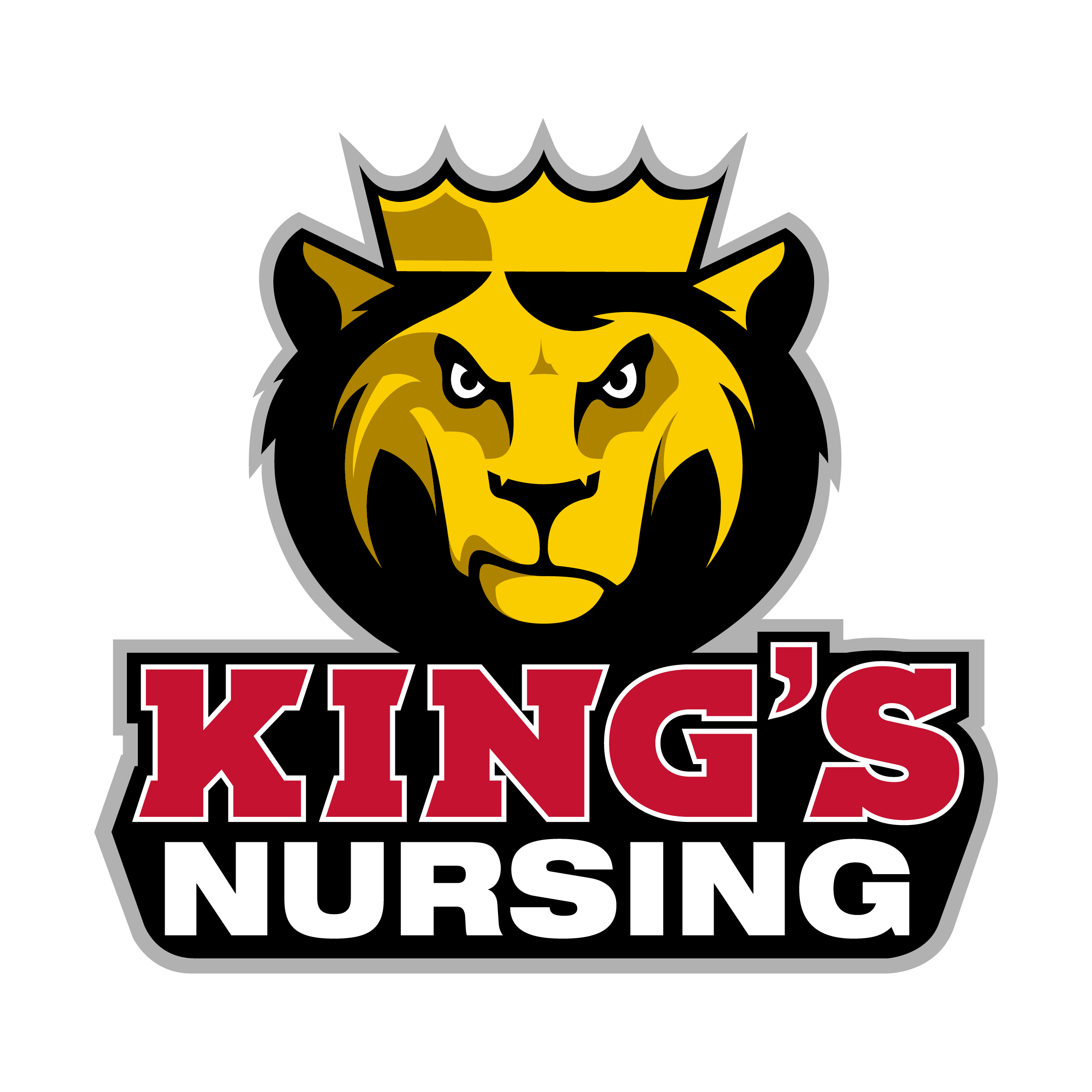 nursing phd king's