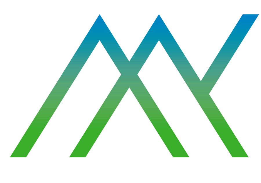 Max Solutions