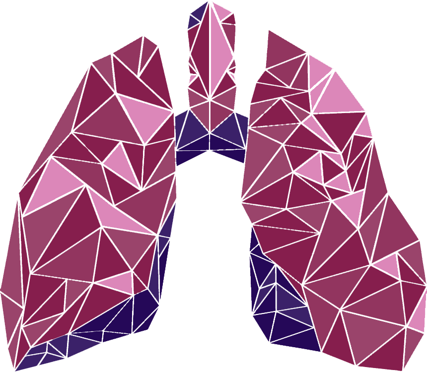 KU-RT Fractal Lung