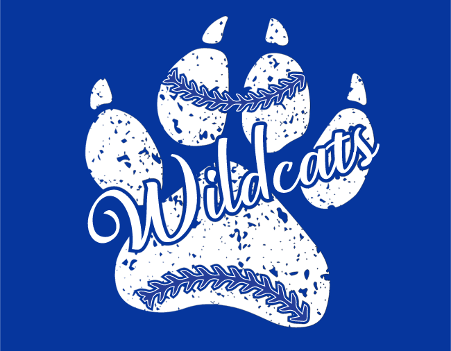 Eagan High School Softball