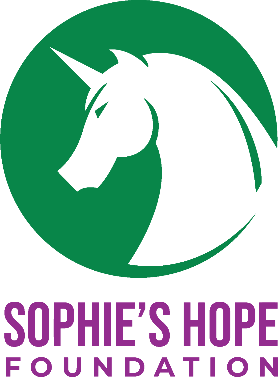 Sophie's Hope Foundation Store