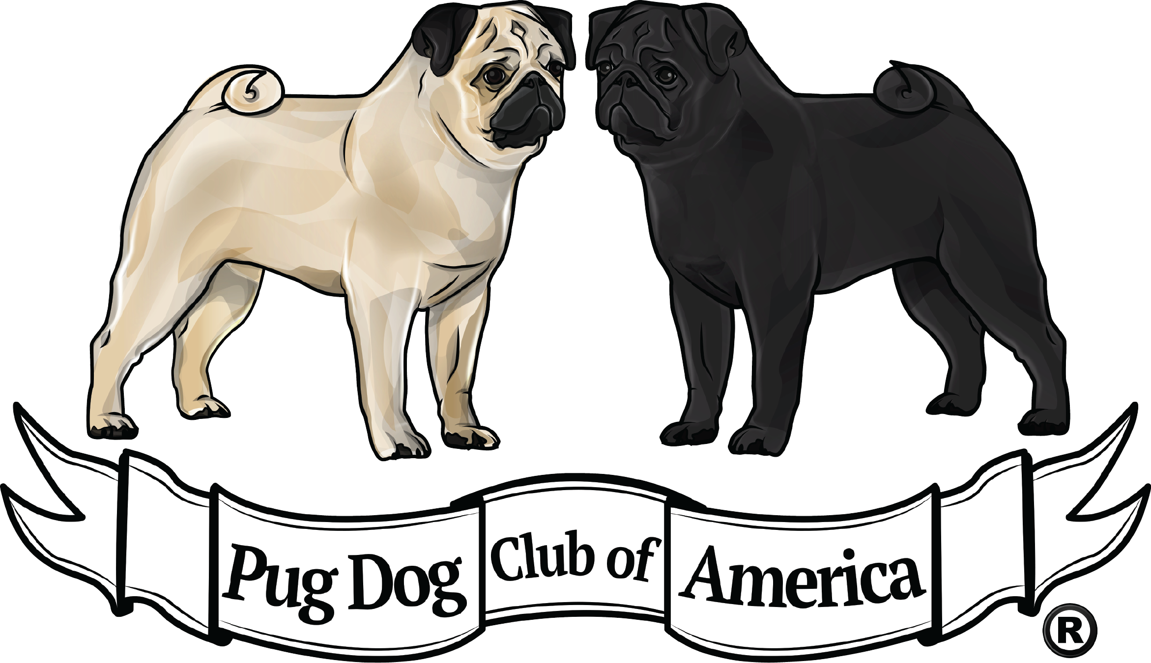 PUG DOG CLUB OF AMERICA 2023