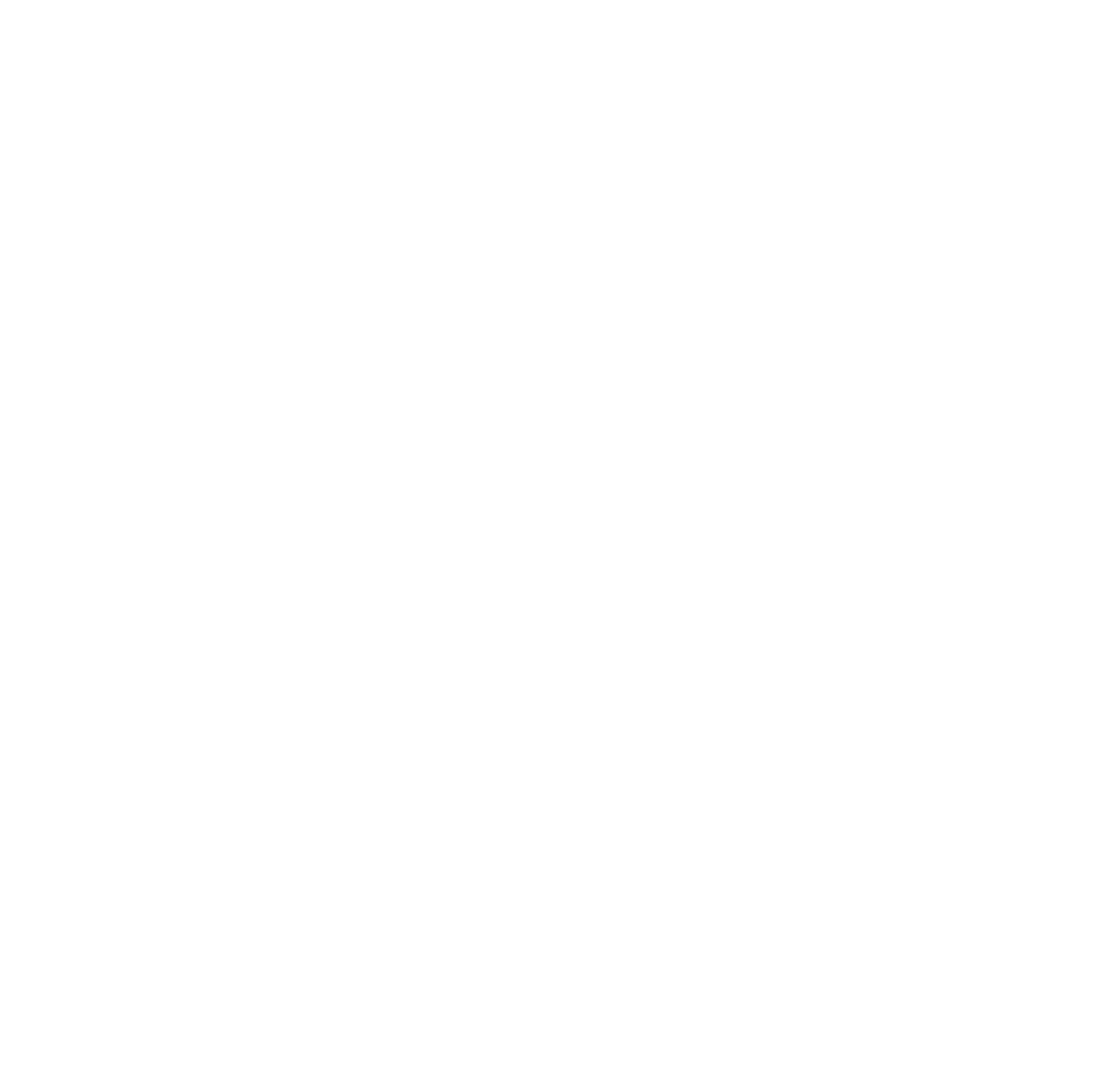 Mississippi Hoodie Bella Canvas Mississippi Swag